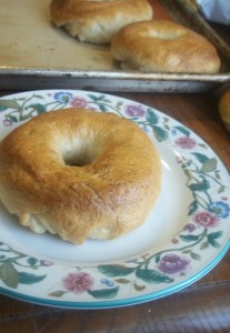 Homemade Bagels