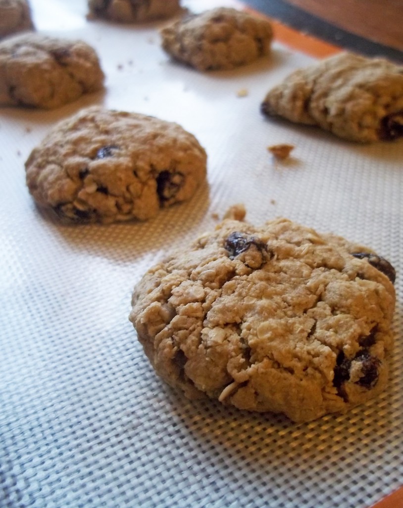 Oatmeal Raisin Cookies3