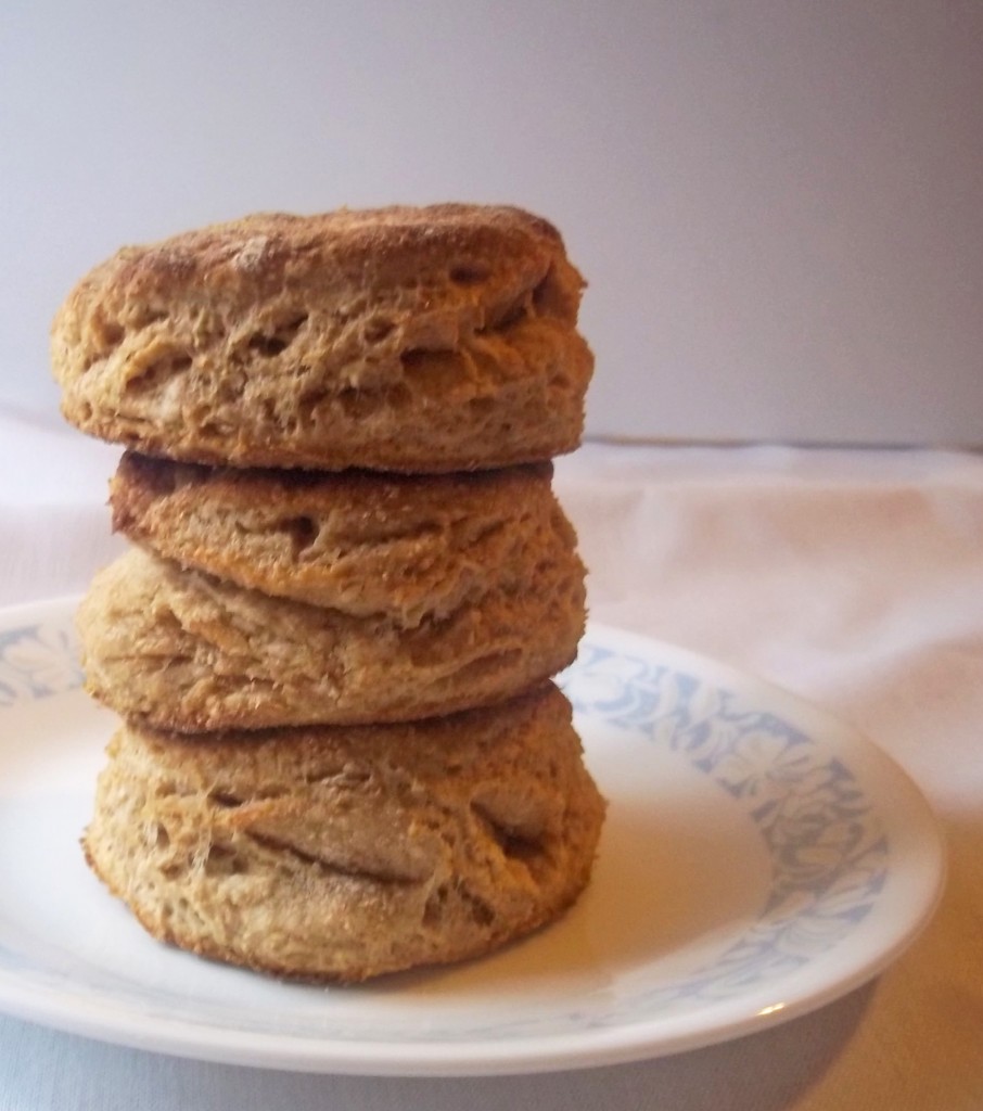 Flaky Whole Wheat Biscuits | Natural Chow | http://naturalchow.com
