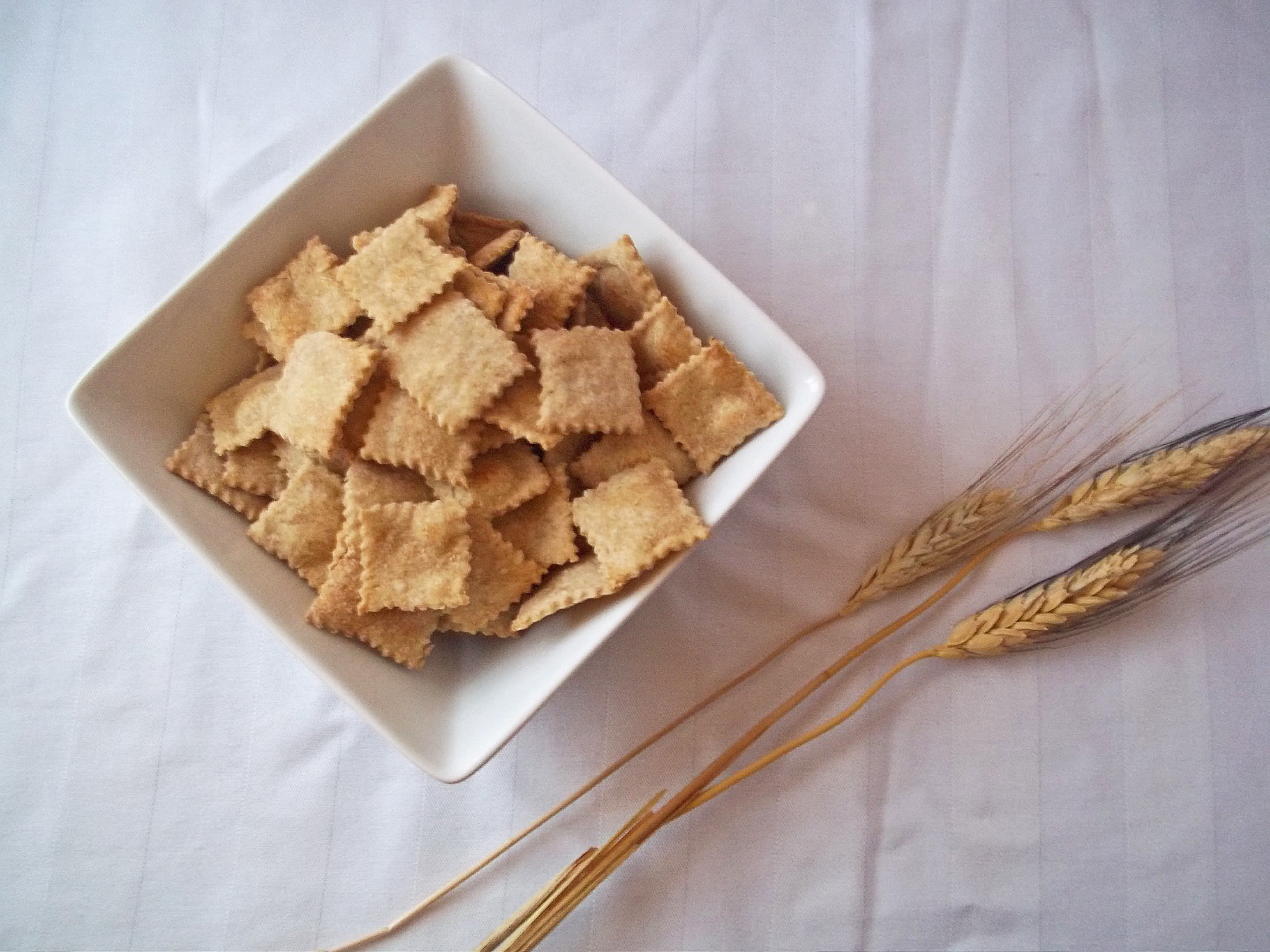 Homemade Whole Wheat Crackers Natural Chow