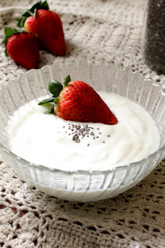 Easy Homemade Vanilla Yogurt | Natural Chow | http://naturalchow.com