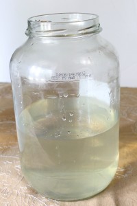 How to Make Water Kefir | Natural Chow | http://naturalchow.com