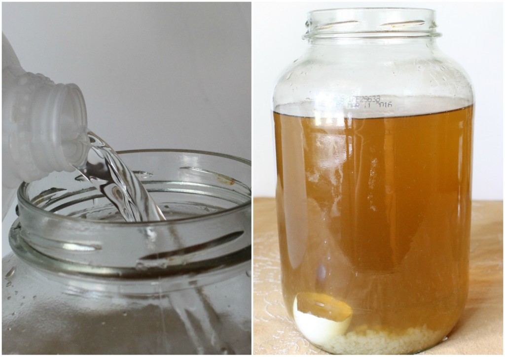 How to Make Water Kefir | Natural Chow | http://naturalchow.com