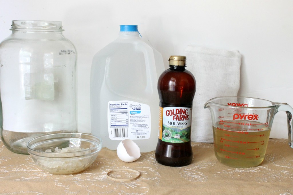 How to Make Water Kefir | Natural Chow | http://naturalchow.com