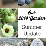 Our 2014 Garden: Summer Update