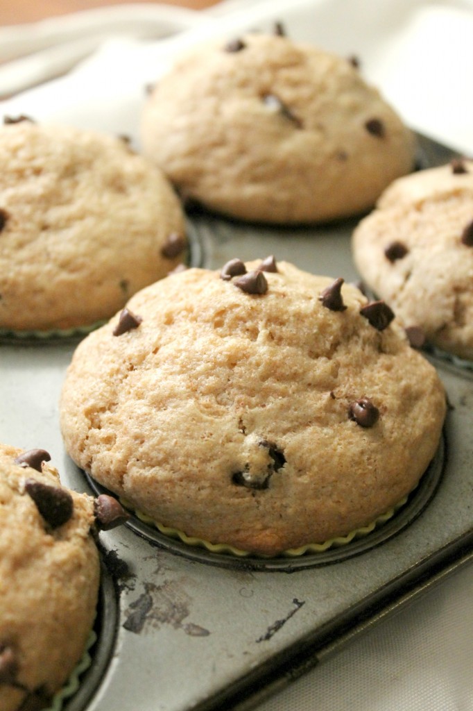 Whole Wheat Chocolate Chip Muffins | Natural Chow