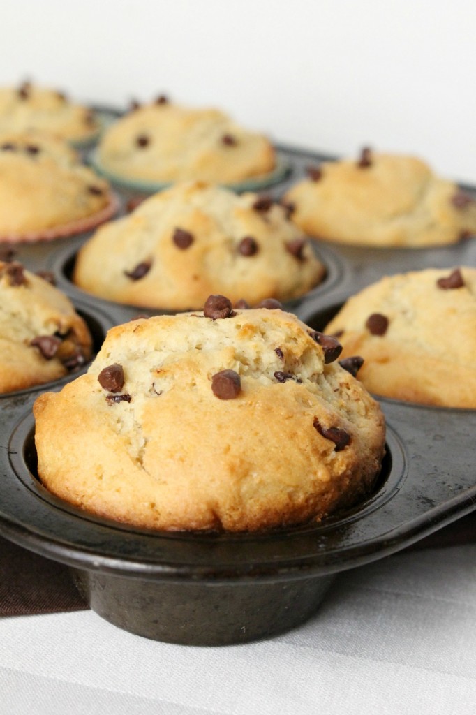 Gluten Free Chocolate Chip Muffins | Natural Chow