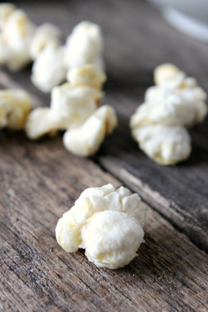 Easy Coconut Oil Kettle Corn | Natural Chow | http://naturalchow.com