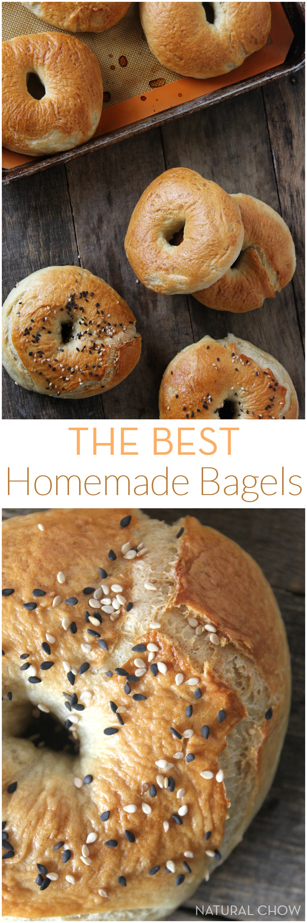 The BEST Homemade Bagels | Made with only 8 ingredients, these homemade bagels are easy to make and taste heavenly. They're of much higher quality than the store bought kind and are also way cheaper!
