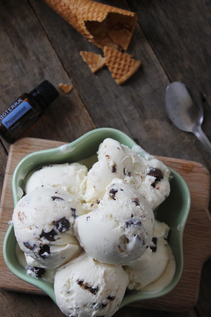 This refreshing, sweet, and rich mint chocolate chip ice cream is loaded with flavor and will surely become your go-to summer dessert!