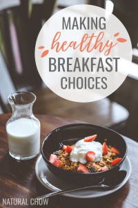 On those days when you're rushing to get out the door on time, it can be hard to choose health over convenience. So here's a list of healthy breakfast ideas to make your mornings a little more stress-free!